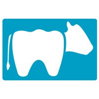 Logo for Cow Hollow Dental Center