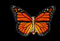 Logo for Deena Hakim, D.C.