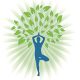 Body and Mind Physical Therapy and Wellness, PLLC