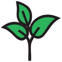 Logo for Life Bloom Dental