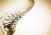 Logo for Conscious Chiropractic Care