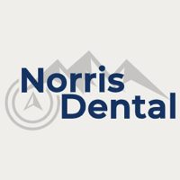 Logo for Norris Dental
