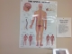 Davin Rehab services. inc.