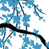 Logo for Melissa Maher DC PA