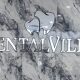 DentalVille Family Dentistry
