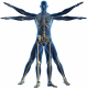 Bloomfield Chiropractic Center