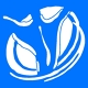 Spinal Solutions Chiropractic and Wellness Center
