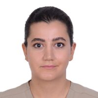 Photo of Dr. Nazanin Gerami, General Dentist